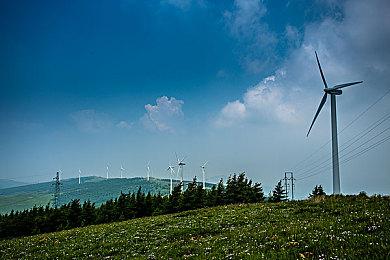 《DOTA2》TI12：Spirit击败GG 夺得总冠军